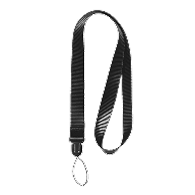 Lanyard