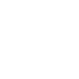 Dual Light